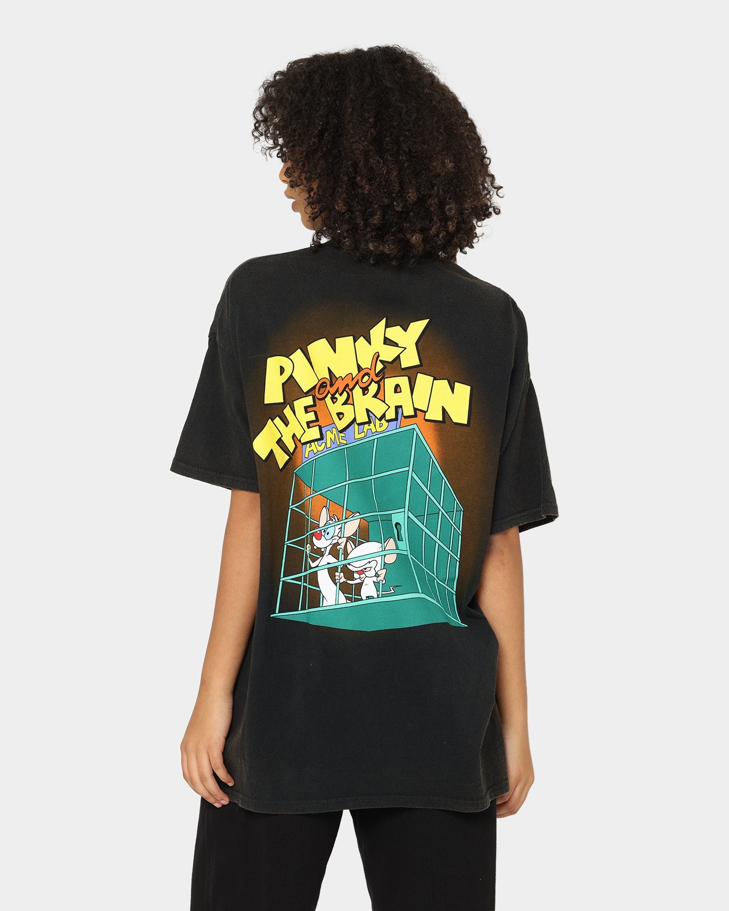 American Thrift X Pinky And The Brain Pinky And The Brain Vintage T-Shirt Black Wash Style001