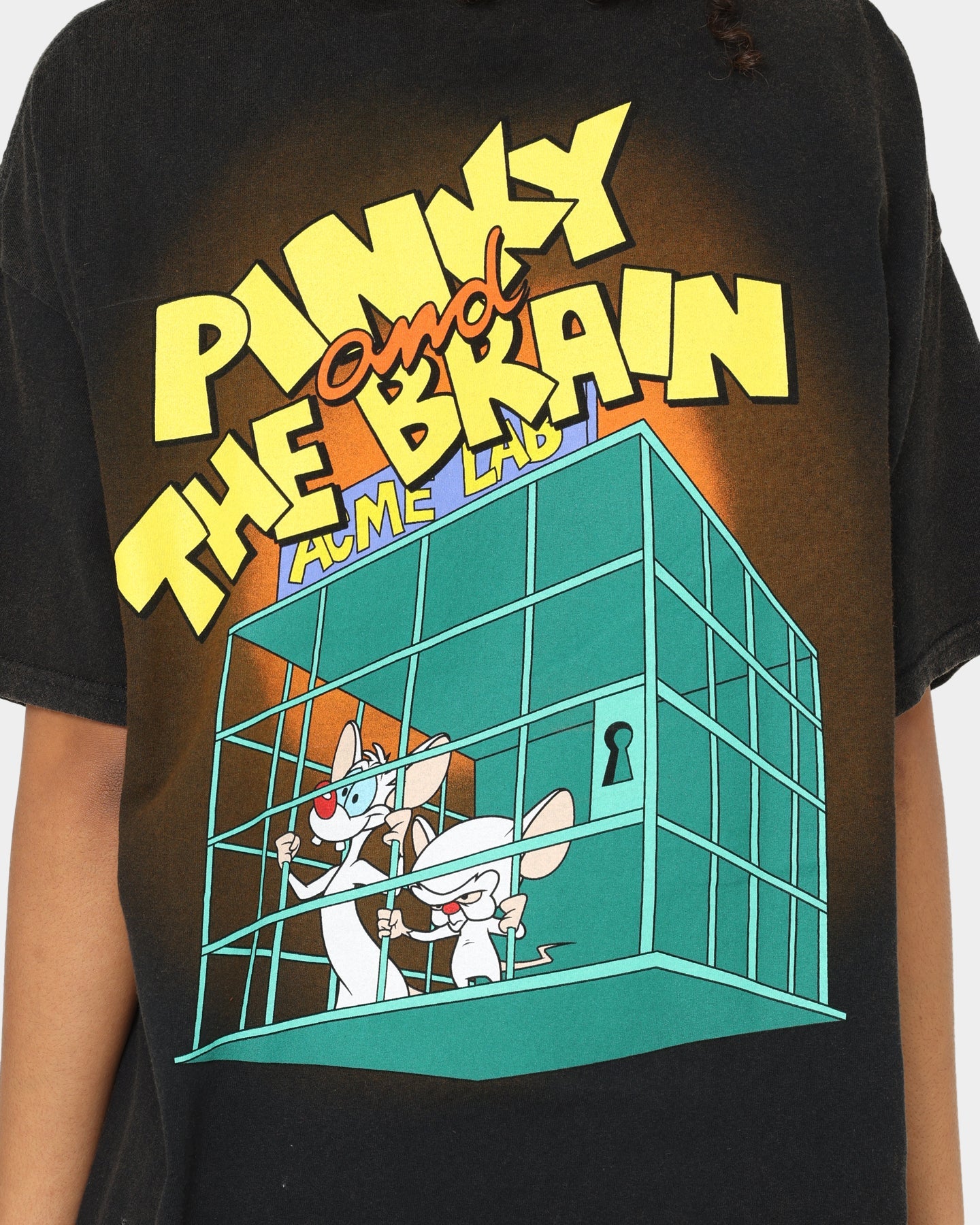 American Thrift X Pinky And The Brain Pinky And The Brain Vintage T-Shirt Black Wash Style001
