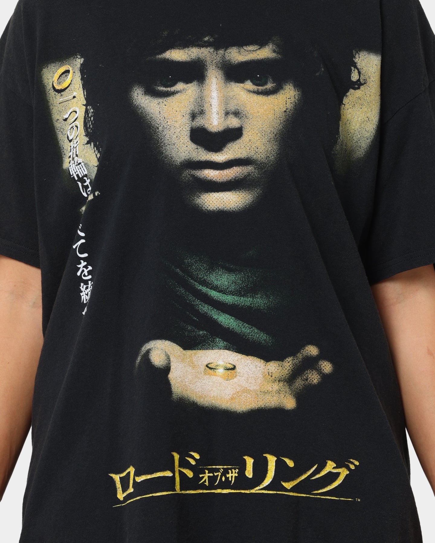 American Thrift X Lord Of The Rings Fellowship T-Shirt Washed Black Style001