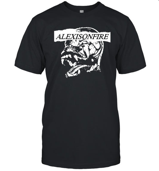 2025 Alexisonfire Maybe I'm Losing My Mind Pullover Limited T Shirt