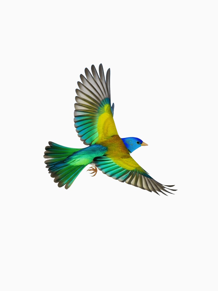 A colorful bird on a branch Fitted T-Shirt